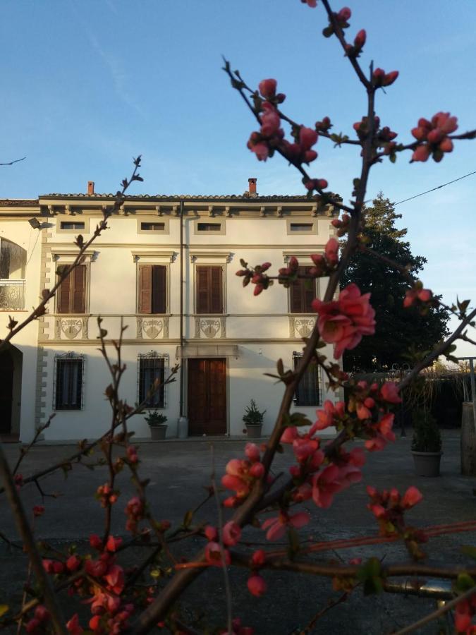 B&B Il Ponticello Gualtieri Kültér fotó